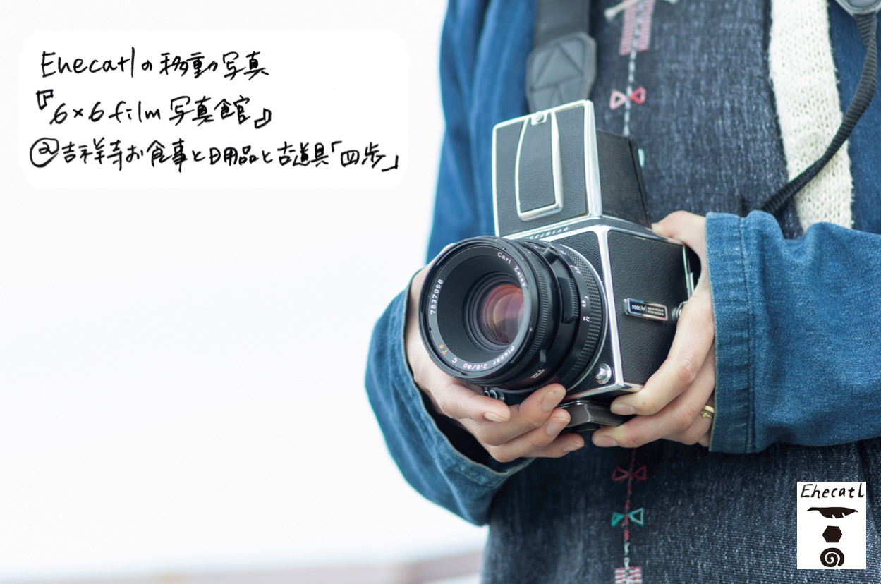 四歩 Ehecatl ポジフィルムの写真館 Dailies Group